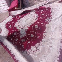 فرش ۱۲ متری|فرش|همدان, |دیوار