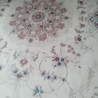فرش ۱۲ متری دوتا درحدنو
