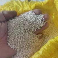 برنج نیم دانه هاشمی گیلان