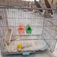 قفس|لوازم جانبی حیوانات|فردیس, شهرک شهید حسینی|دیوار