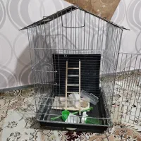 قفس پرنده|لوازم جانبی حیوانات|اسدآباد, |دیوار