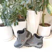 کوچک شده است|کیف، کفش، کمربند|همدان, |دیوار