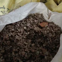 باغبانی و کشاورزی