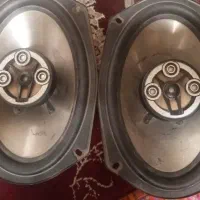 باند خانگی کارازوریا