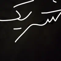 شریک،شراکت