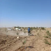 فوریباغبادرخت،ابیاریقطره ای|فروش دفتر صنعتی، کشاورزی، تجاری|اراک, |دیوار