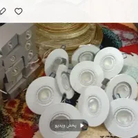 جفت عروس وجفت مرغ مینا