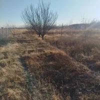 هزار متر باغچه الوان در روستای ارنسا