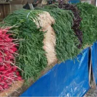 کارگرسبزی فروشی