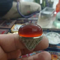 فدیوم استاد رسول
