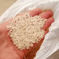 برنج ایرانی خوش پخت وطعم اقتصادی زیر قیمت|خوردنی و آشامیدنی|تهران, مرزداران|دیوار