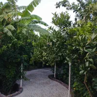 ویلا دزفول میباشد امکان رزرو حضوری در اهواز|اجارهٔ کوتاهمدت ویلا و باغ|اهواز, کوروش|دیوار