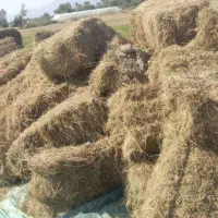 فروش پرس یونجه