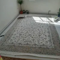 فرش 9 متری ماشینی روژان طرح افشان مناسب جهیزیه|فرش|پاکدشت, پاکدشت (مامازند)|دیوار