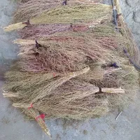 بهترین جارو