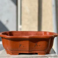 گلدان بنسای