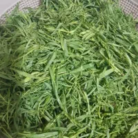 خیارشور بومی شیراز|خوردنی و آشامیدنی|شاهین‌شهر, کوی مهدیه|دیوار