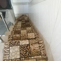 گلیم پله|گلیم، جاجیم، گبه|قم, شهر قائم|دیوار