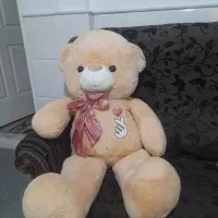 عروسک خرسی بزرگ|اسباب‌بازی بچه|قم, انصار‌الحسین|دیوار