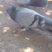 2200