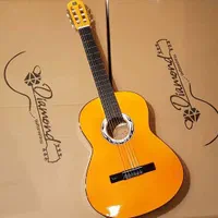 آموزش تضمینی و تخصصی ۰تا۱۰۰ گیتار|خدمات آموزشی|اصفهان, وحید|دیوار