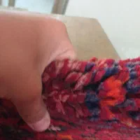 فرش کوردی دست بافت|فرش|روانسر, |دیوار