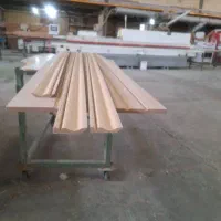 استخدام همکار آقا و خانوم