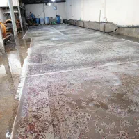 قالیشویی طلوع تابان سابق|خدمات نظافت|پاکدشت, پاکدشت (مامازند)|دیوار