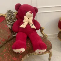 خرس ولنتاین