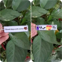 جاسوئیچی پلاک ماشین رزینی