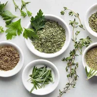 اموزش طب سنتی آنلاین رایگان