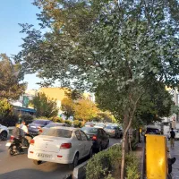 ۲خواب ۸۵متری فول فلکه اول بر اصلی گلبرگ رشید|اجارهٔ دفتر کار، اتاق اداری، مطب|تهران, تهران پارس|دیوار