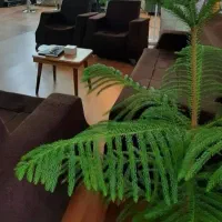 اجاره صندلی و اتاق درسالن زیبایی