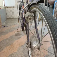 دوچرخه کلکسیونی|دوچرخه، اسکیت، اسکوتر|شیراز, طلاب|دیوار