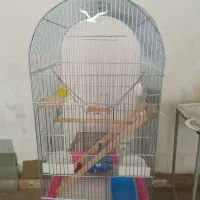 قفس پرنده