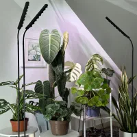 لامپ های  رشد گل و گیاه    IKEA