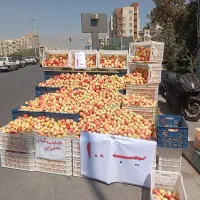 سیب فرانسوی شیرین آب دار کیلو 100