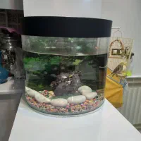 آکواریوم سالم