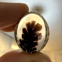 انگشتر شجر قائن