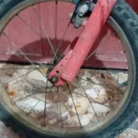 دوچرخه|دوچرخه، اسکیت، اسکوتر|ساری, |دیوار