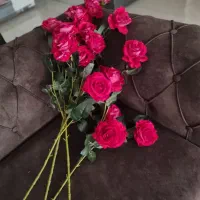 گل رز مصنوعی|گل مصنوعی|گرمدره, |دیوار