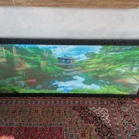 تابلوهمراه باسیم کشی برق 60در1مترو40سانت|تابلو، نقاشی، عکس|لنگرود, |دیوار