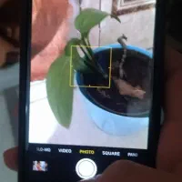 آیفون سون 128 مشکی|موبایل|سبزوار, غرب نیروگاه|دیوار