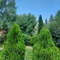 ۴۵۰ متر زمین مدرس دوکله