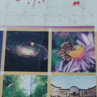 تدریس کلیه دروس ابتدایی ازاول تا ششم