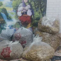 گردو|خوردنی و آشامیدنی|جوکار, |دیوار