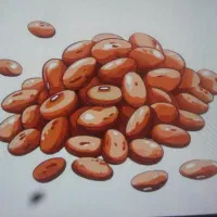 بسته بندی