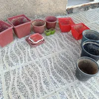 گلدان های پلاستیکی وسفالی به فروش می رسد
