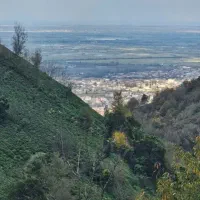 فروش-زمین-مسکونی-با-سند-در-دل-طبیعت-لیلاکوه