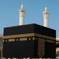 فروش فیش تمتع